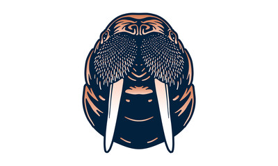 walrus isolated