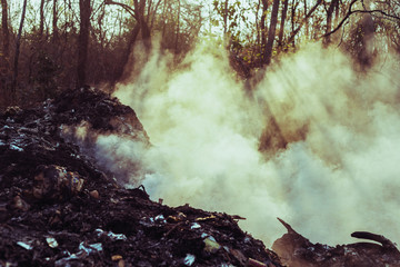 Photos of garbage That is being burned, there is smoke, pollution