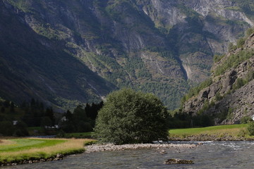 Flåm