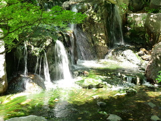 Fototapeta na wymiar Some small waterfalls in the forest