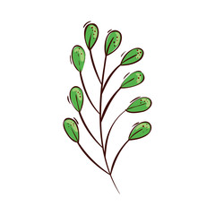 branch with leafs natural isolated icon vector illustration design