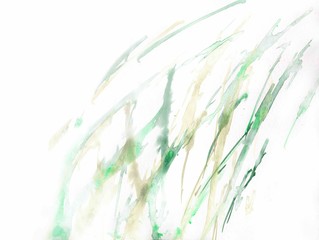 Abstract grass background. Light fresh colors on white paper. Green and olive grass blades - 331194737