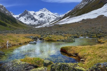 Fototapeta premium Brook