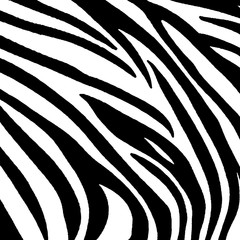 Zebra print material pattern.