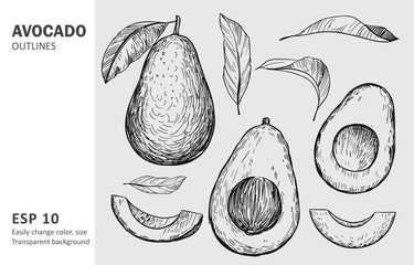 Avocado sketches. Hand drawn illustration converted to vector. Black on transparent background