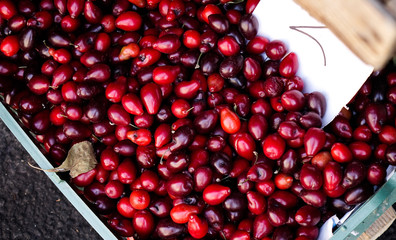 Fresh fruits for sale at street market