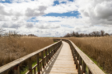 Tablas de Daimiel