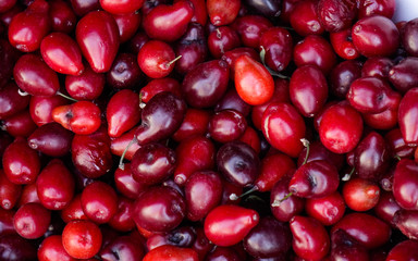 Fresh fruits for sale at street market