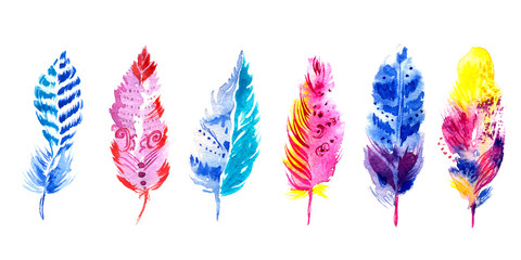 Fototapeta premium set of multi-colored watercolor feathers