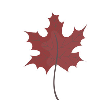 Isolated leaf in cartoon style.