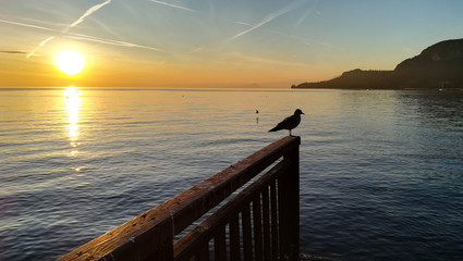 Sunset at Garda lake, Italy. Italian landscape