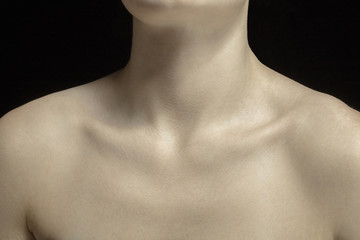 Collarbones. Detailed texture of human skin. Close up shot of young caucasian female body....