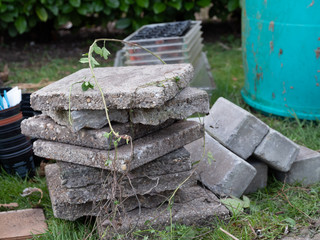 Empty and clean the greenhouse in the spring. Plastic grow boxes and sidewalk tiles