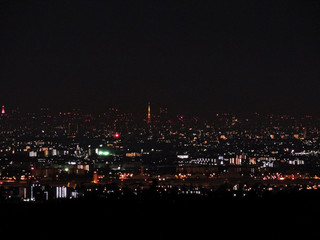 Fototapeta na wymiar Tokyo night view from far mountain