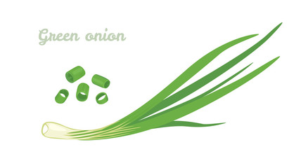 Green spring onions isolated on white background. Vector Chopped chives. Illustration of fresh cut green onion. Icon in cartoon flat style. - obrazy, fototapety, plakaty