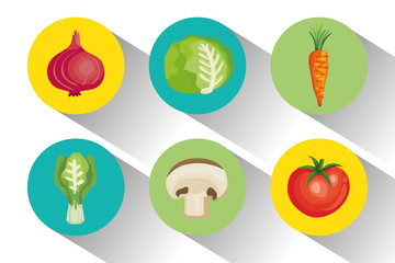set of healthy and fresh vegetables vector illustration design