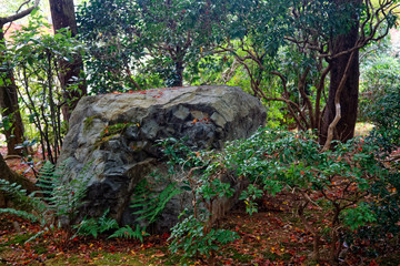 Fototapeta na wymiar Japan park with boulders. Panorama of rockery rock garden. gardening background panoramic view. gardener backyard design element