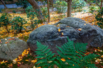 Japan park with boulders. Panorama of rockery rock garden. gardening background panoramic view. gardener backyard design element