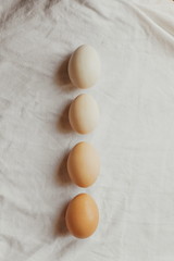 Chicken eggs on a white background of different colors