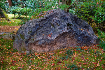 Japan park with boulders. Panorama of rockery rock garden. gardening background panoramic view. gardener backyard design element - 331207980