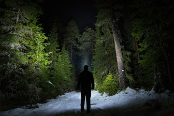 Fototapeta Figure on forest path at night with headlamp illuminating the trees and path obraz