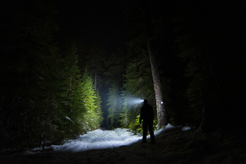 Man with headlamp illuminating green forest and snowy path