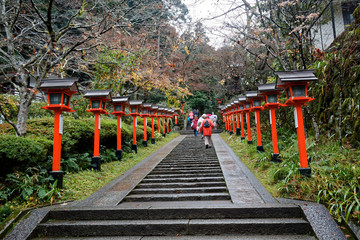 Stairs up to mountain and maple tree in Japan. Stairs in Park at Kinkaku-ji Zen Buddhist Temple in Kyoto, Japan.