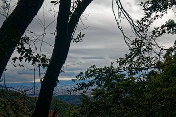 Japan autumn landscape. Colorful leaves and stream in Japan