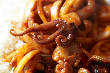 Korean spicy stir fried squid 
