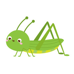 Cute grasshopper. Cartoon insect character. Vector illustration