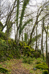 Fototapeta premium Valle del Jerte