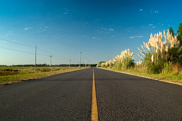 ruta desolada en el campo con un cielo azul 
