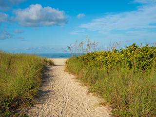 Sandy path to Nokomis Beach on Gulf of Mexico in early morning light on Casey Key in Nokomis Florida in the United States