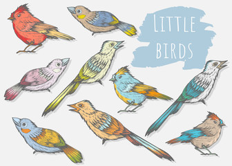 Set of hand drawn little birds