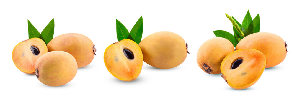 fresh sapodilla on white background