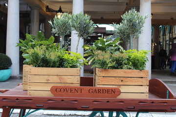 Fototapeta na wymiar Convent garden London