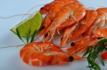 Grilled tiger shrimp with lime and green herbs