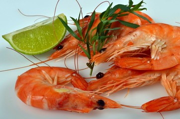 Grilled tiger shrimp with lime and green herbs