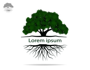 Obraz premium Trees with green leaves look beautiful and refreshing.Tree and roots LOGO style.