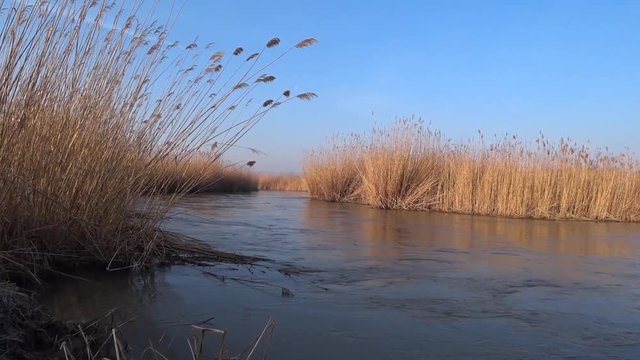 river in spring rh