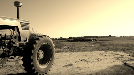 front of tractor on the farm