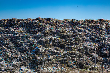 Open-air municipal landfill. Garbage discharge. ecological problems.