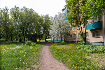Path in city