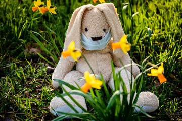 Osterhase Mundschutz