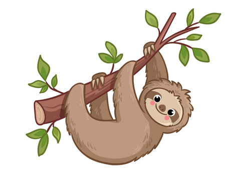 Cute sloth creeps on a tree. Vector illustration with animal