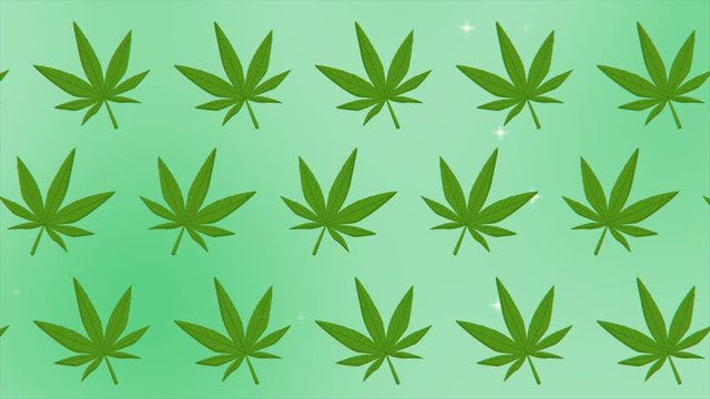 Cannabis green leaf frame bud and joint with copy space on background isolated gif animation pattern.decorative marijuana leaves motion design.