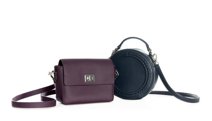 Different stylish woman's bags isolated on white