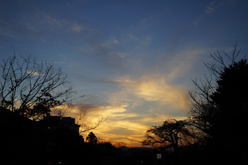 京都円山公園からの夕暮れ