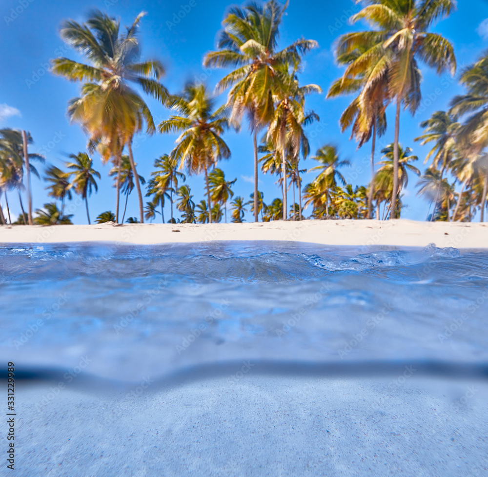 Wall mural tropical island. view of the beach from the water.