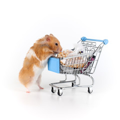 Hamster and a shopping cart with food. The concept of panic procurement of goods.